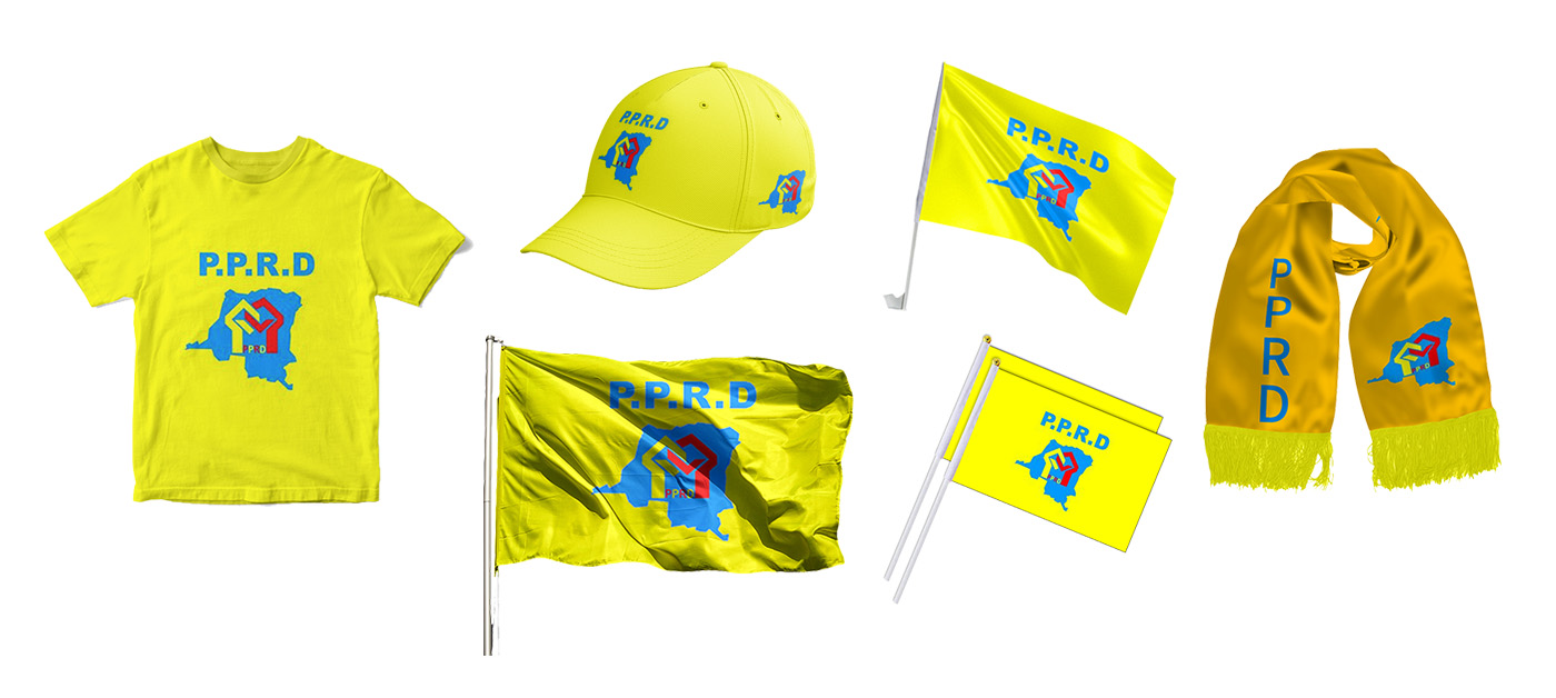 2019刚果(DRC)选举项目目标图-01